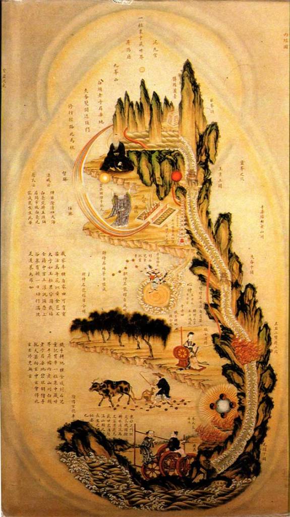 The Essence of Chinese Medicine