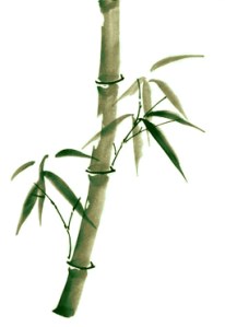 Do you flex and adapt in the winds of life, or shatter easily like a stalk of dried bamboo?