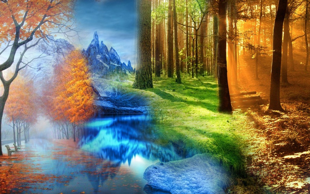 four-seasons-in-one-beautiful-wallpaper-shiftwallpapers
